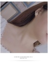 Small Kangaroo Tassel Enamel Earrings Jewelry Stud Earrings