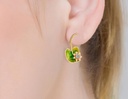 Daisy And Stone Enamel Earrings