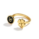 Zodiac Sign Constellation Enamel Ring