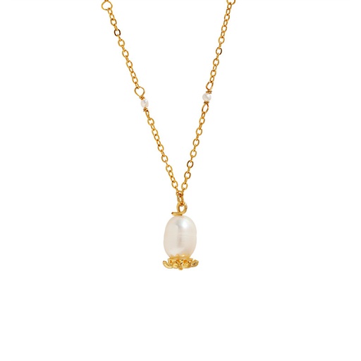 Freshwater Pearl Collarbone Gold Plated Necklace